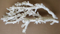 Korál 350 x 180